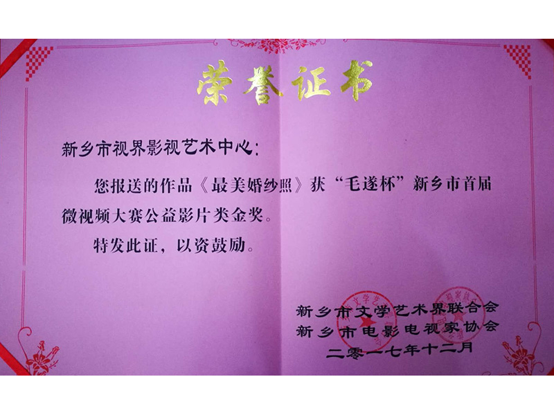 荣誉证书：《最美婚纱照》获金奖